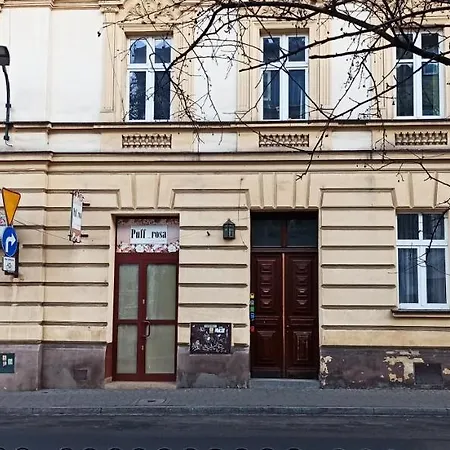 Lukas Guest Проживание в семье